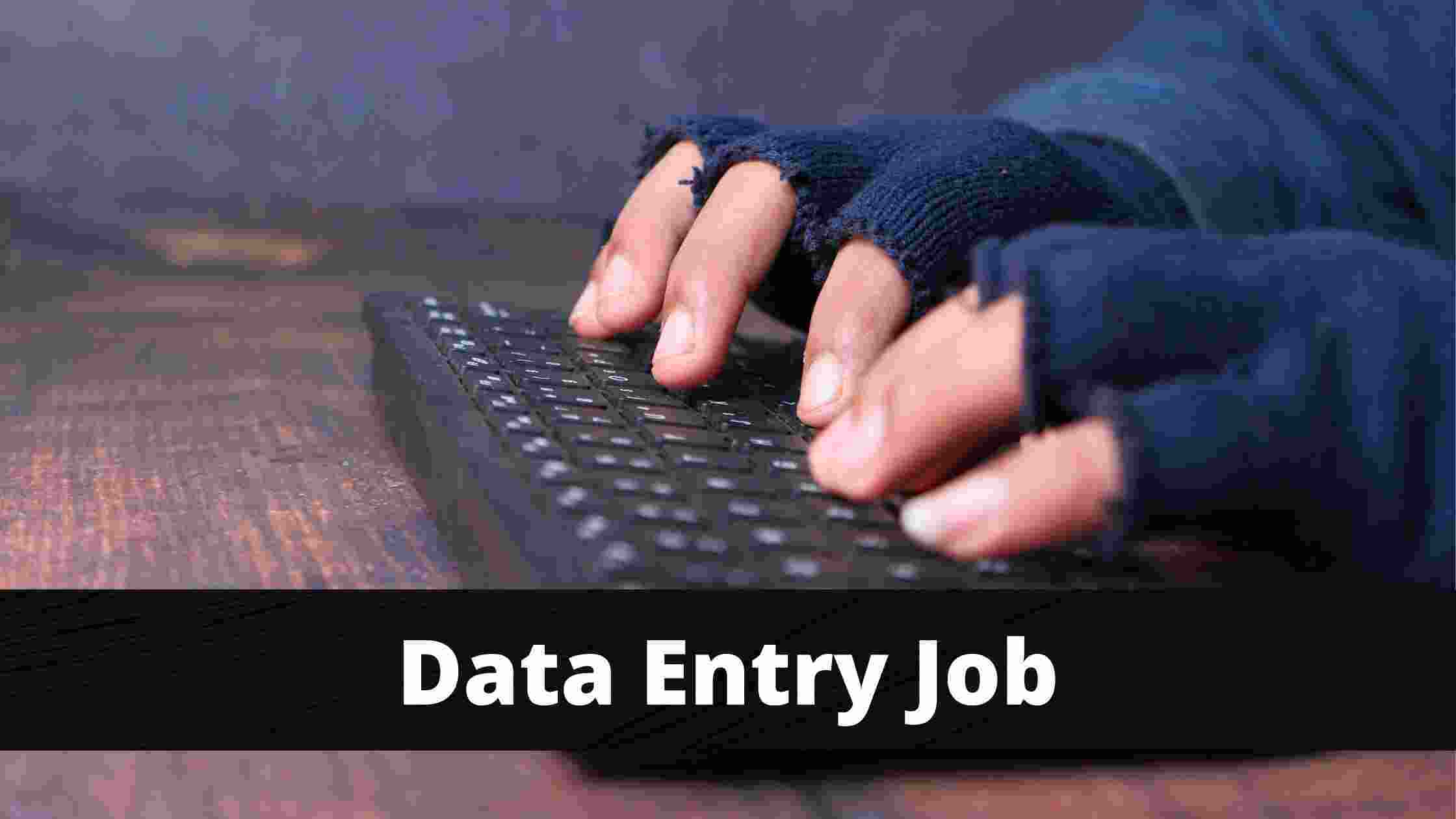 Data entry remote job